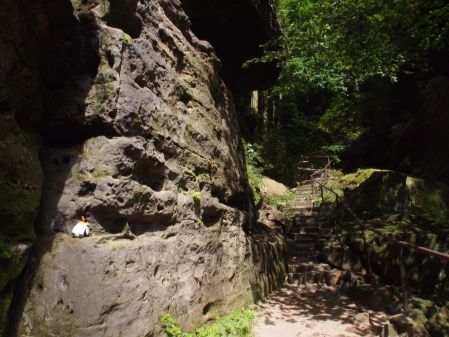penguin sitting on a wall
