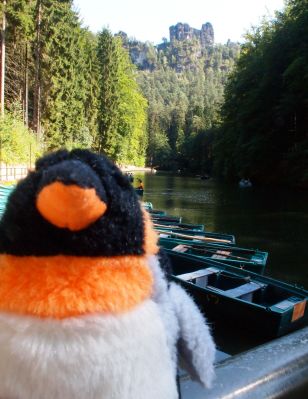 penguin in front of rowboats