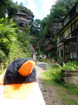 penguin in a small village