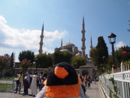 blue mosque