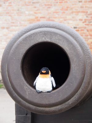 penguin sitting in mouth of cannon