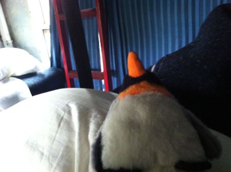 penguin in couchette bed