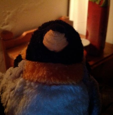penguin in hotel room