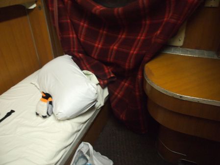 penguin in bed on sleeper train