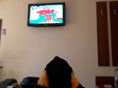 penguin watching tv
