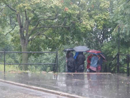 people with umbrellas