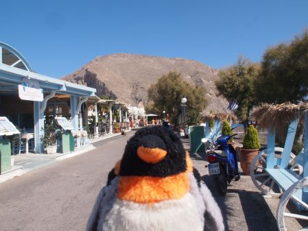 penguin at the beach