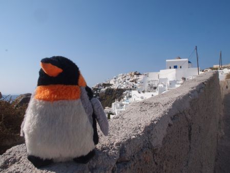 penguin sitting on the wall