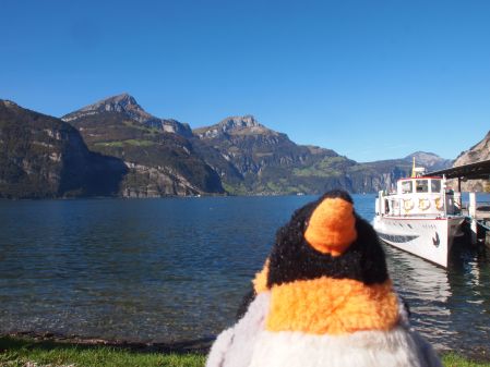 penguin infront of lake