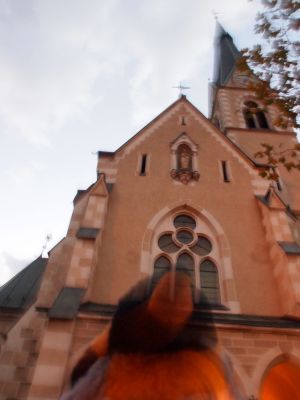 fuzzy picture of penguin