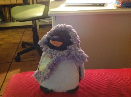 penguin wearing scarf