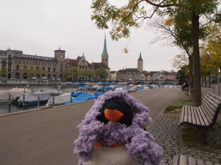 penguin beside Limmat