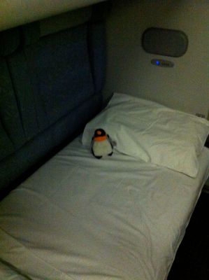penguin on sleeper train