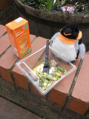 Penguin eating lunch