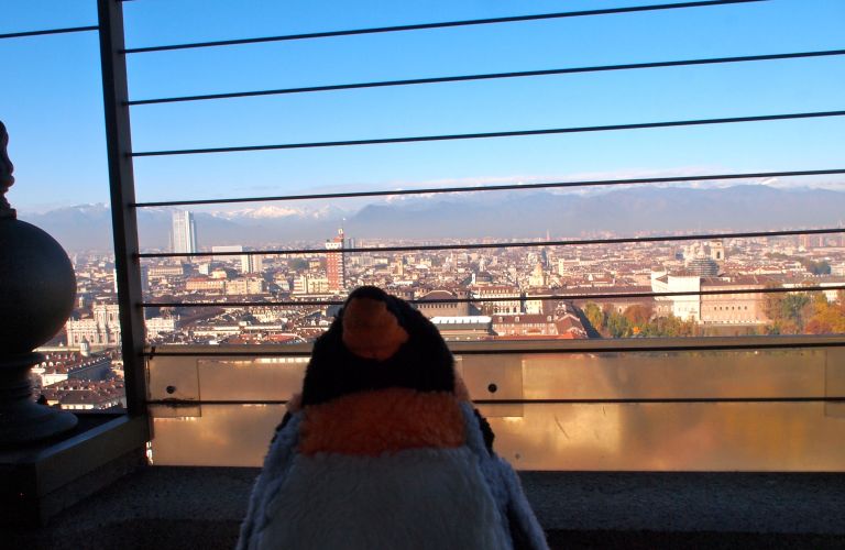 View of Turin