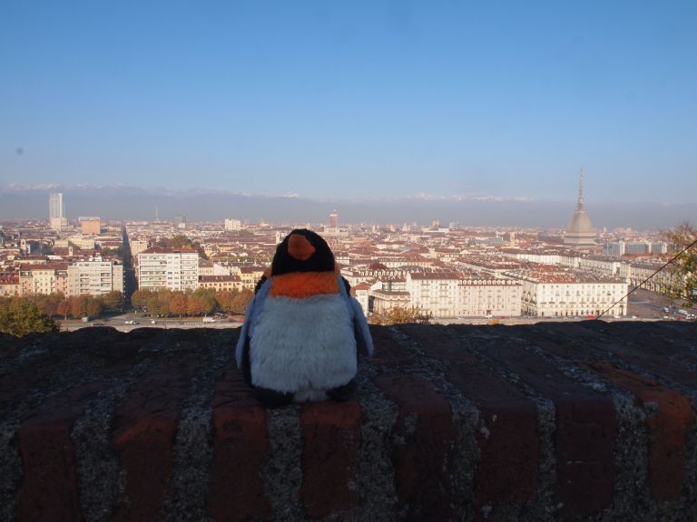 View of Turin