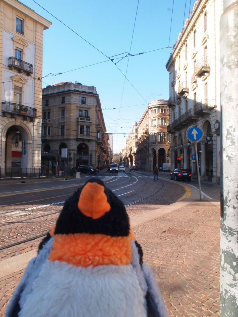Turin street with tram line