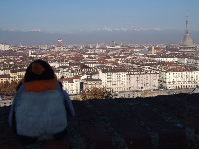 View of Turin