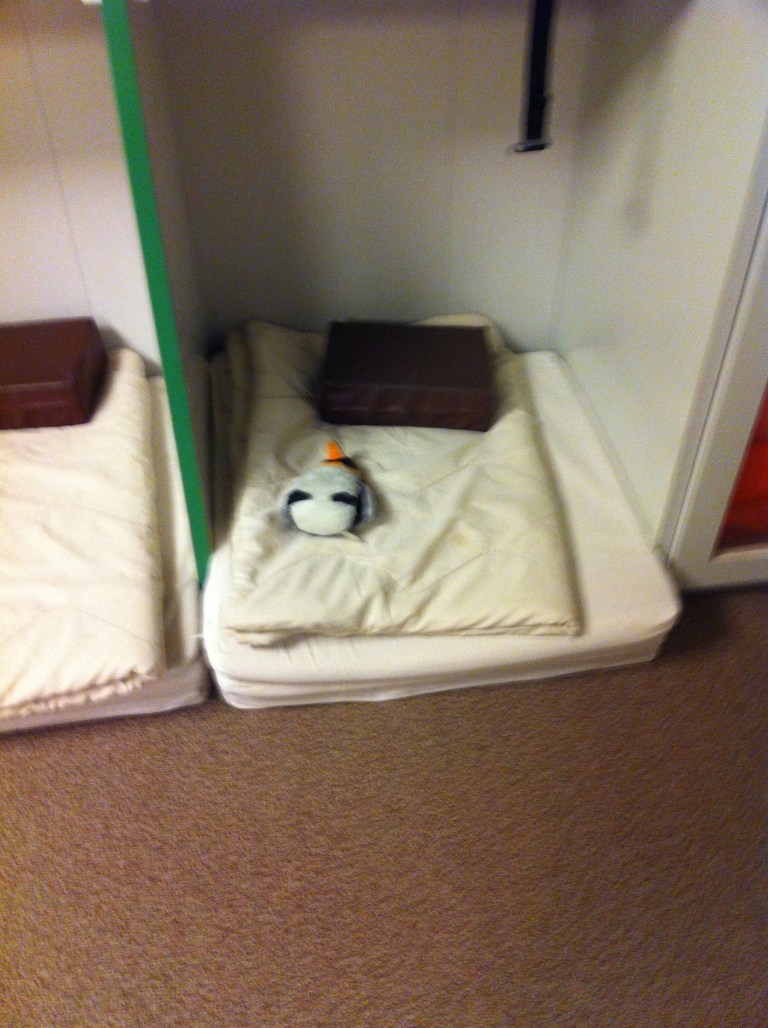 penguin in bed