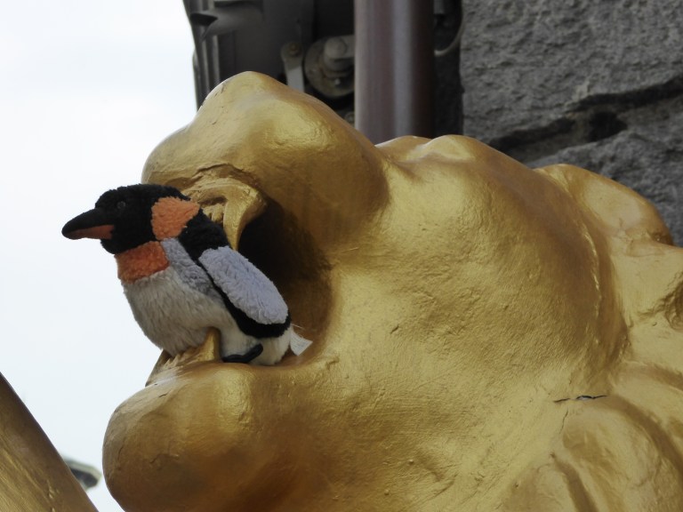 penguin being chewed by lion=
