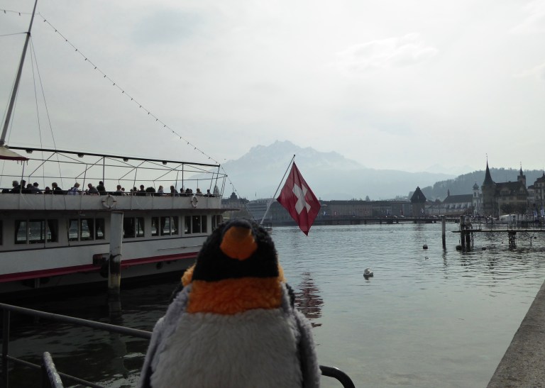 Penguin by lake