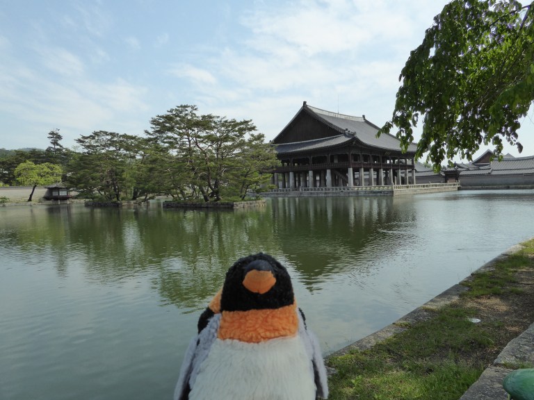 penguin beside lake