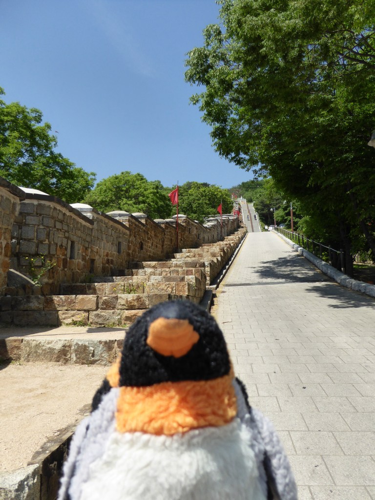 penguin climbing stairs