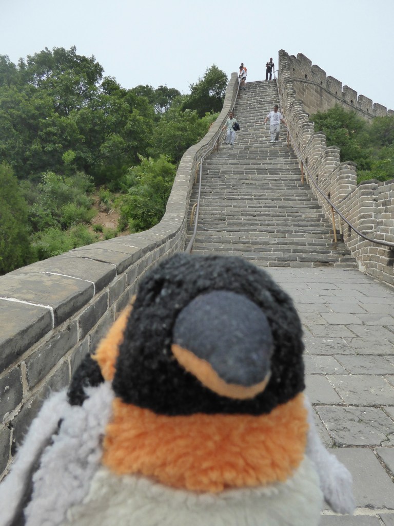 despairing penguin