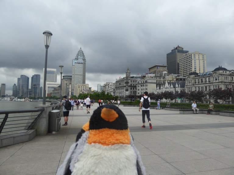 penguin on the Bund
