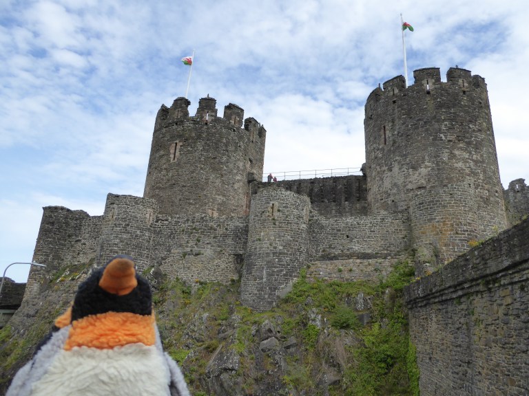 looking at Conwy castle