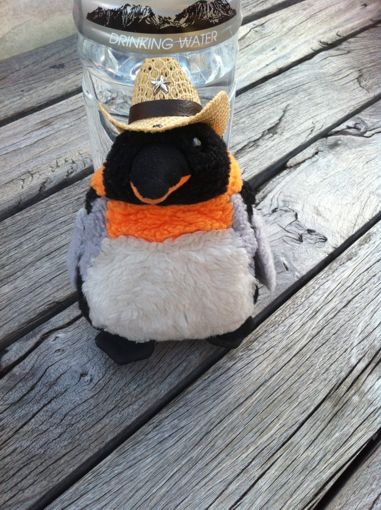 penguin wearing cowboy hat
