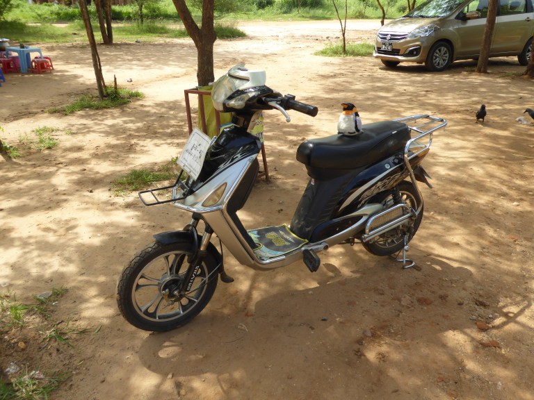 penguin sitting on motorbike
