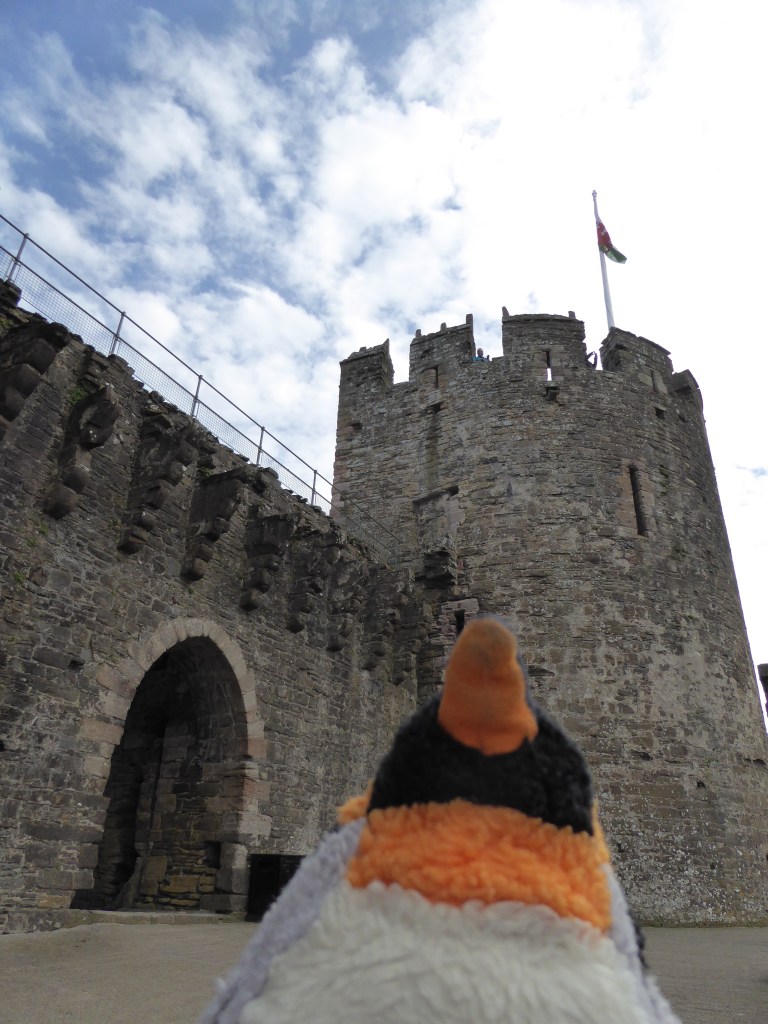 looking at Conwy castle