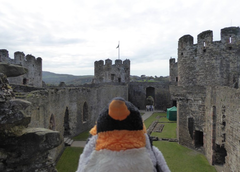 looking out over Conwy castle