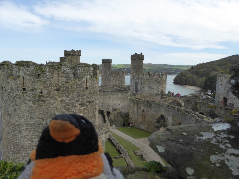 looking out over Conwy castle