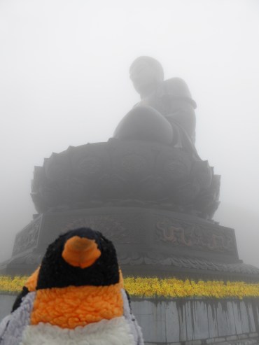 foggybuddha