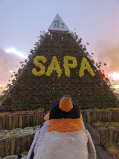 sapalogo