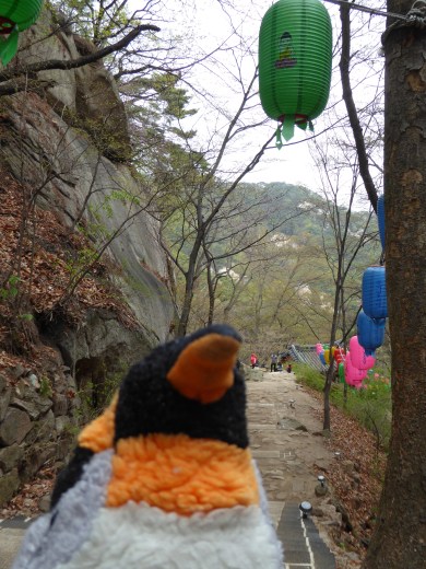 hike