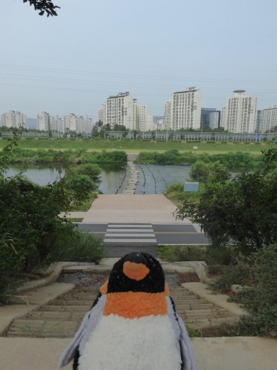 hikeriver2