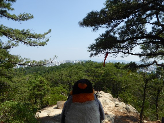 hikeview