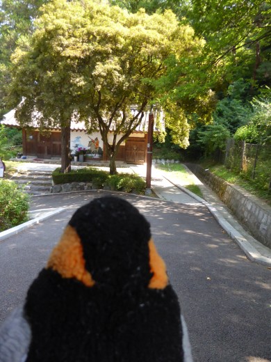 hikewonder